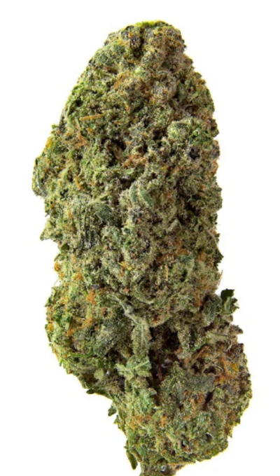 HOMESTEAD : SATIVA FLOWER