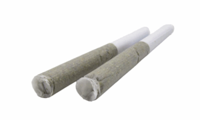 GREEN MOUNTAIN HEALTH ALLIANCE : Romulan Grapefruit Pre-Rolls (2x1g)