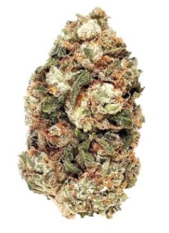 BC GREEN : Frosted Gumbo (7g)