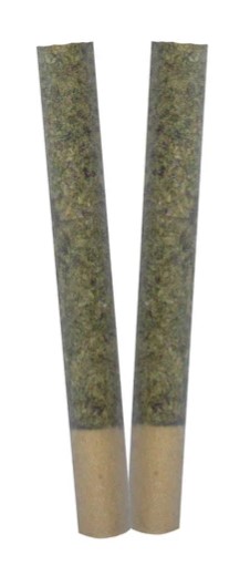 Trygg - Ignite Pre-Rolls (2x1g)