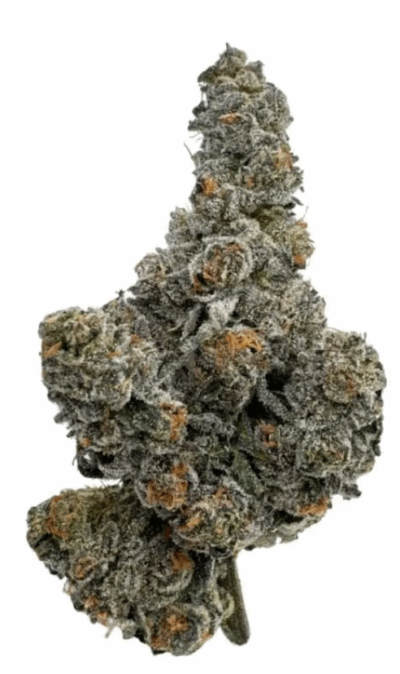Amani Craft : GASTRO POP PREMIUM SMALLS (3.5g)
