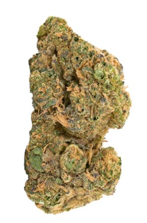 Redecan - Purple Churro