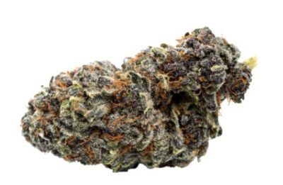 Qwest - Georgia Pie Flower