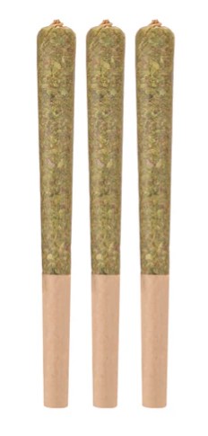 Woody Nelson - Rainbow Driver Craft Pre-Rolls (3x0.5g)