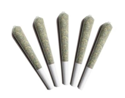 GLADSTONE : Arctic Sun Pre-Rolls (5x0.5g)