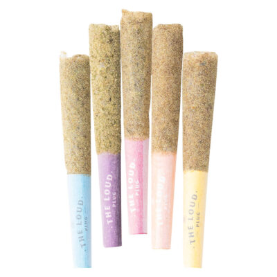 The Loud Plug - Drippyz Multipack Infused Pre-Rolls