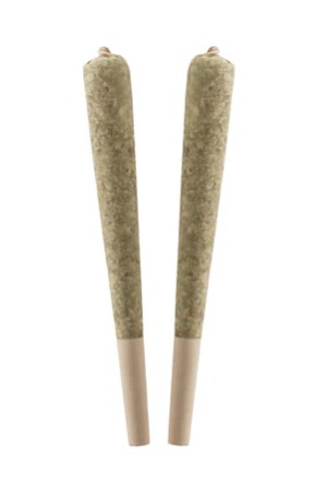 STANDARD ISSUE : Bing Cherry Distillate Infused Pre-Rolls (2x0.5g)