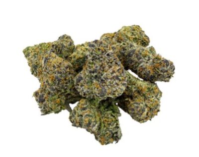 SITKA LEGENDS : Tahiti Punch Craft Sml (3.5g)