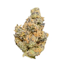 BC GREEN : GARLIC HAZE FLOWER