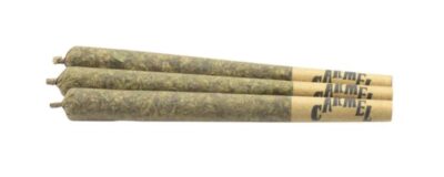 Carmel - M.Tai X Jungle Cake Pre-Rolls Lto