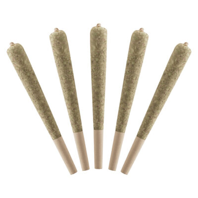 Standard Issue - Watermelon Infused Pre-Rolls