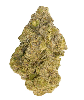 Broken Coast - Cherry Ztripez