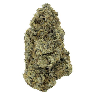 Woody Nelson - Sunset Sherbet Craft Flower