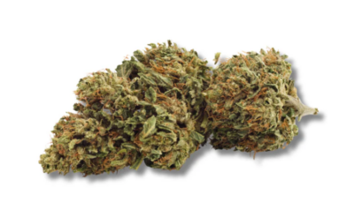 Grown Here Farms - Day Dreamin' Infused Cbd Flower